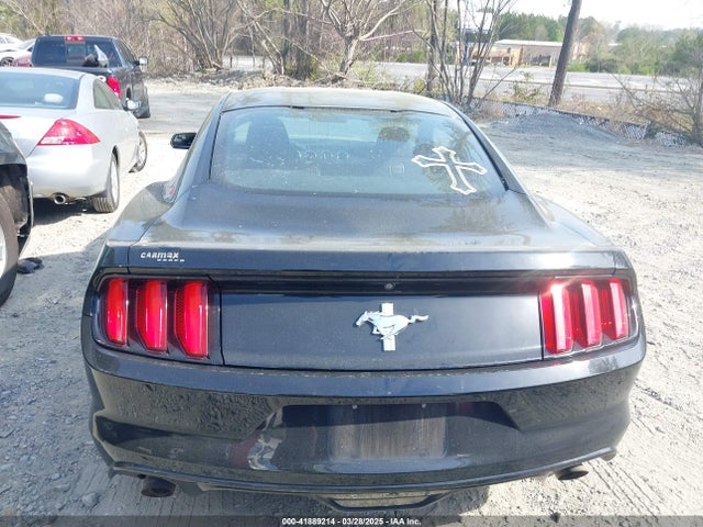 1FA6P8AMXH5342548 Ford Mustang V6
