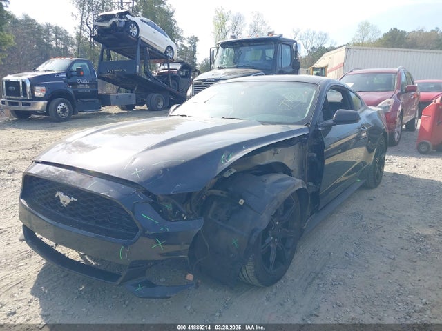 1FA6P8AMXH5342548 Ford Mustang V6