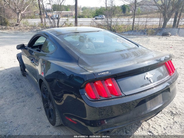 1FA6P8AMXH5342548 Ford Mustang V6