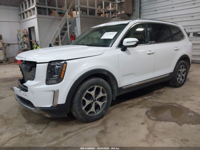5XYP3DHC5LG020089 KIA Telluride Ex