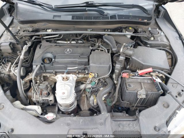 19UUB1F3XFA023244 Acura TLX