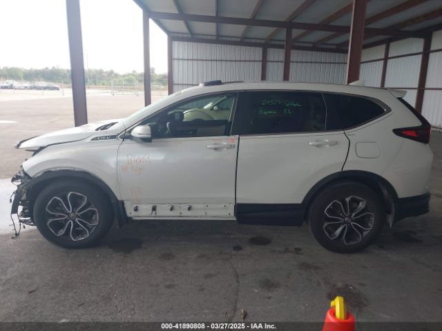 7FARW1H86LE027056 Honda Cr-v 2wd Ex-l