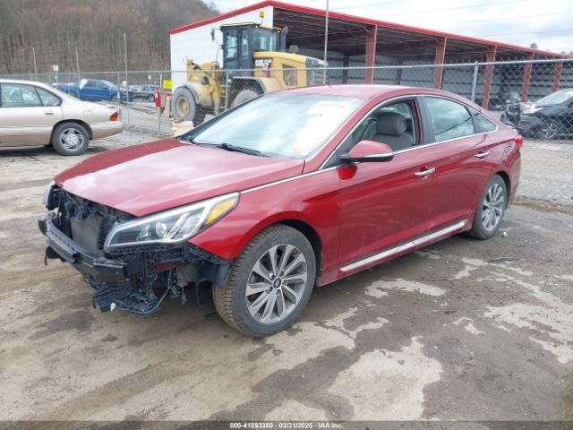 5NPE34AF0FH111490 Hyundai Sonata Sport