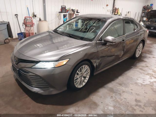 4T1F11AK9LU309293 Toyota CAMRY XLE