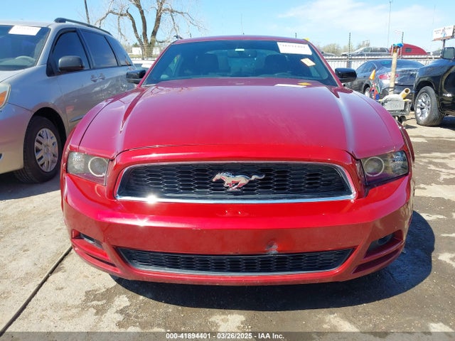 1ZVBP8AM7E5254204 Ford Mustang V6