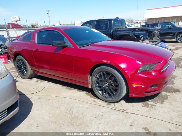1ZVBP8AM7E5254204 Ford Mustang V6