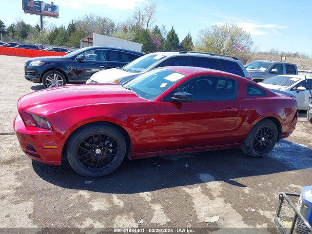 1ZVBP8AM7E5254204 Ford Mustang V6