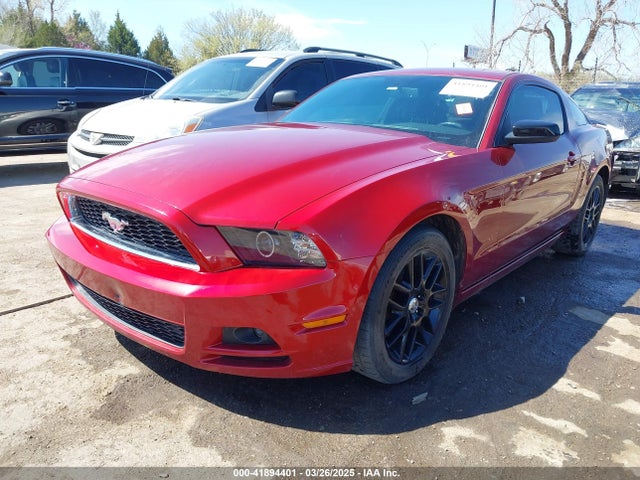 1ZVBP8AM7E5254204 Ford Mustang V6