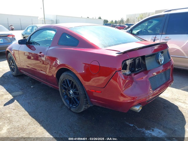 1ZVBP8AM7E5254204 Ford Mustang V6