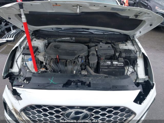 5NPE34AF8JH726555 Hyundai Sonata Sel+
