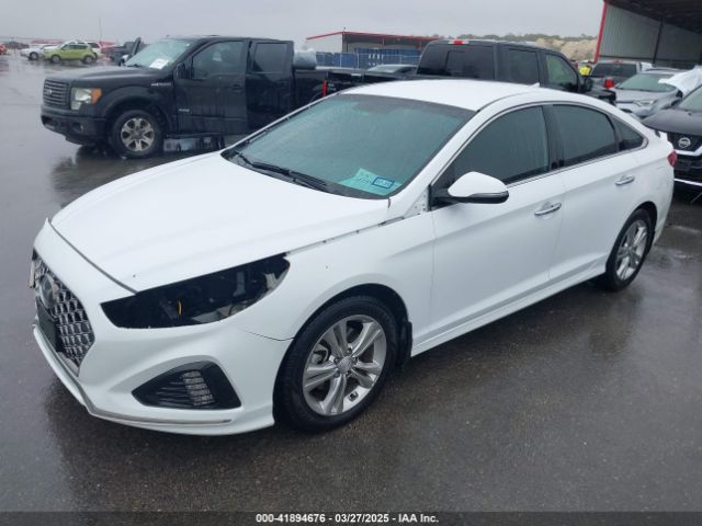 5NPE34AF8JH726555 Hyundai Sonata Sel+