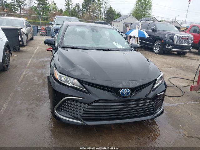 4T1H31AK2MU558250 Toyota Camry Le Hybrid