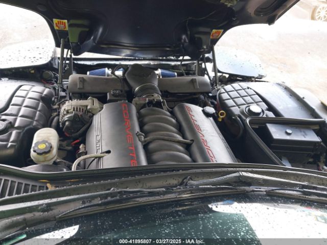 2004 CHEVROLET CORVETTE 1G1YY22G745105394 Photo 9