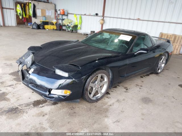 2004 CHEVROLET CORVETTE 1G1YY22G745105394 Photo 1