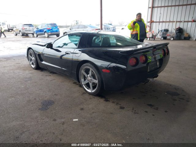 2004 CHEVROLET CORVETTE 1G1YY22G745105394 Photo 2