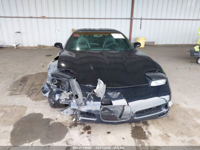 2004 CHEVROLET CORVETTE 1G1YY22G745105394 Photo 5