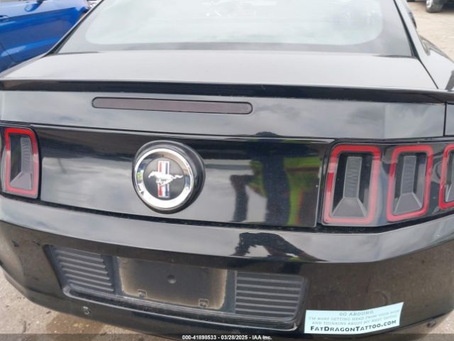 1ZVBP8AM7E5287879 Ford Mustang V6