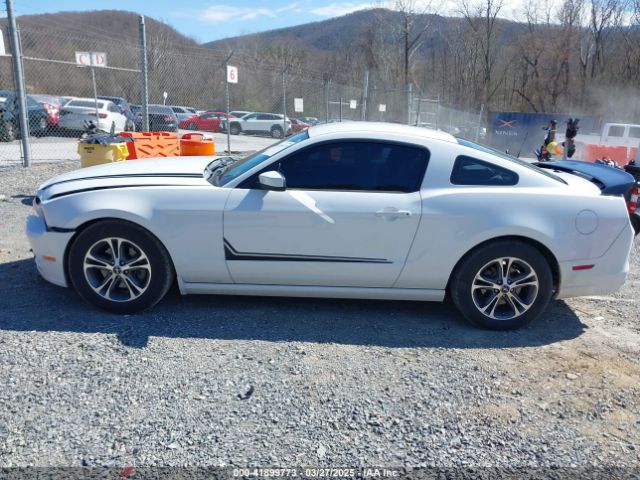1ZVBP8AM6E5266859 Ford Mustang V6 Premium