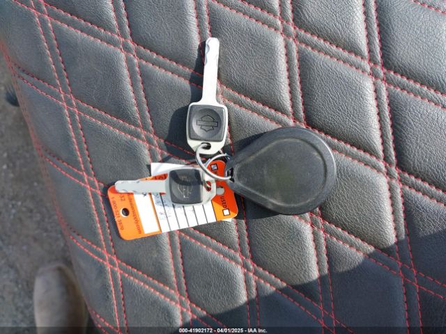 2024 HARLEY-DAVIDSON FXST 1HD1BVJ16RB019283 Photo 10