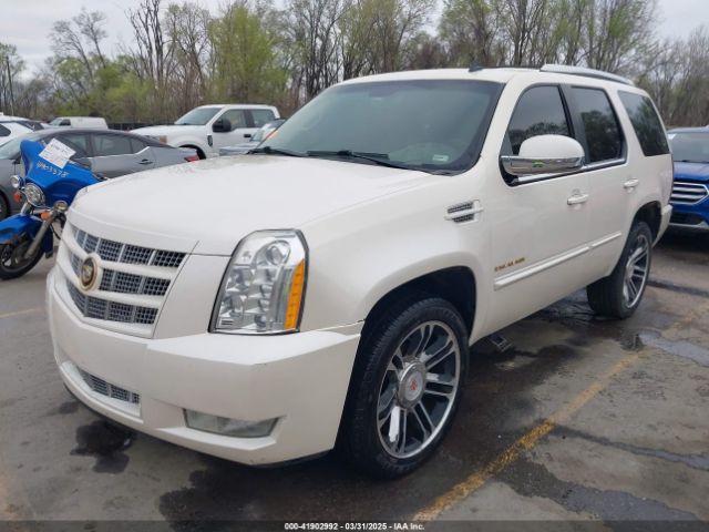 2012 CADILLAC ESCALADE 1GYS4CEF7CR283261 Photo 1