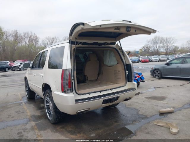 2012 CADILLAC ESCALADE 1GYS4CEF7CR283261 Photo 2