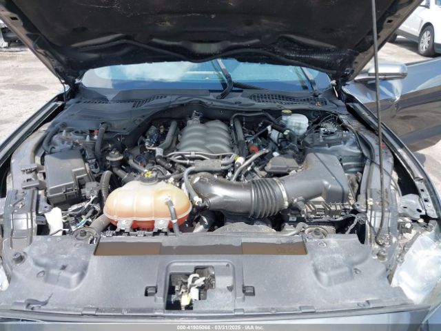 1FA6P8CF3L5103527 Ford Mustang Gt Fastback