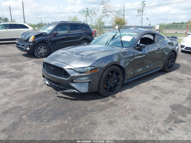 1FA6P8CF3L5103527 Ford Mustang Gt Fastback