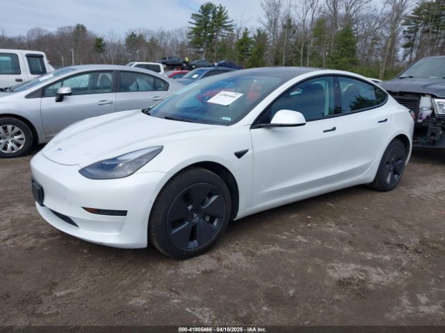 2022 TESLA MODEL 3 5YJ3E1EA9NF101519 Photo 1