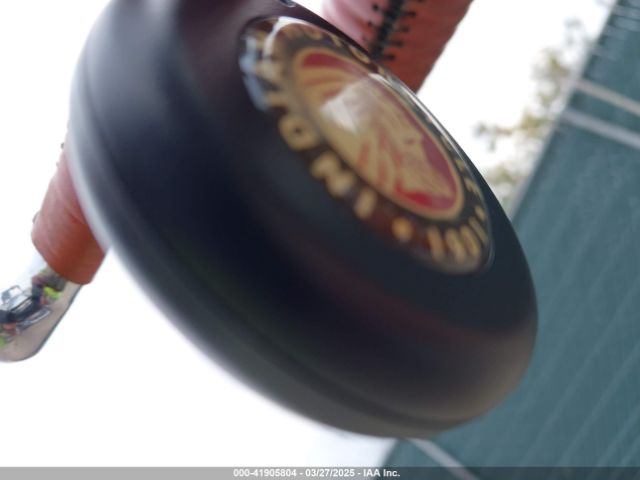 2014 INDIAN MOTORCYCLE CO. CHIEF 56KCCVAA7E3310784 Photo 10