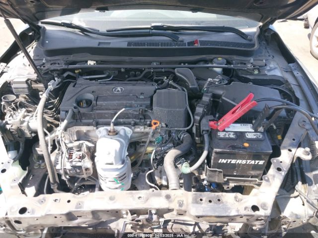 19UUB1F36FA011026 Acura TLX