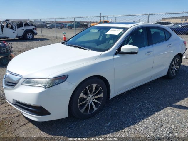 19UUB1F36FA027730 Acura TLX