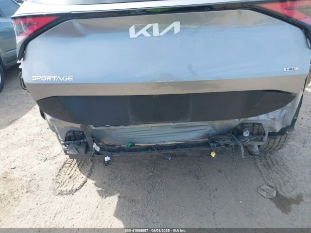 KNDPUCAG4P7062857 KIA Sportage Hybrid Lx