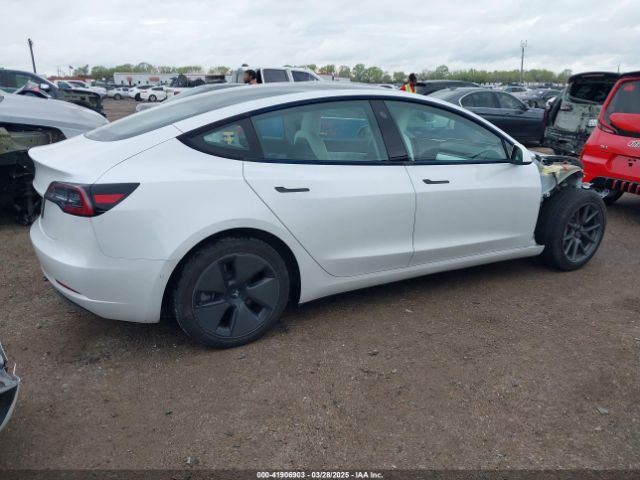 2021 TESLA MODEL 3 5YJ3E1EA1MF917302 Photo 3