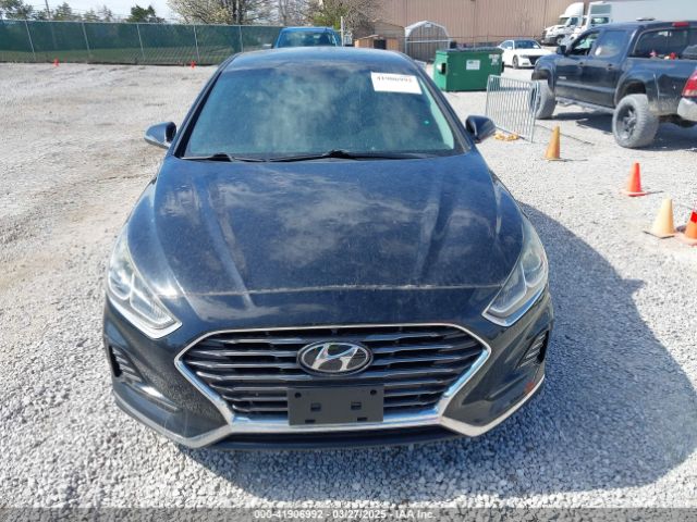 5NPE34AF7JH647099 Hyundai SONATA SEL
