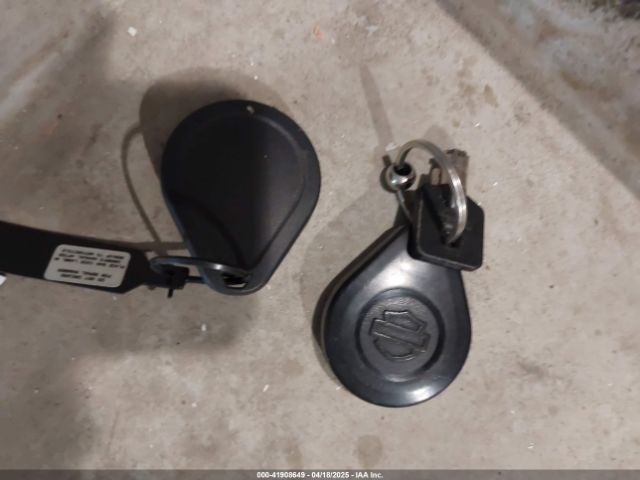 2002 HARLEY-DAVIDSON FLSTCI 1HD1BWB112Y075431 Photo 10
