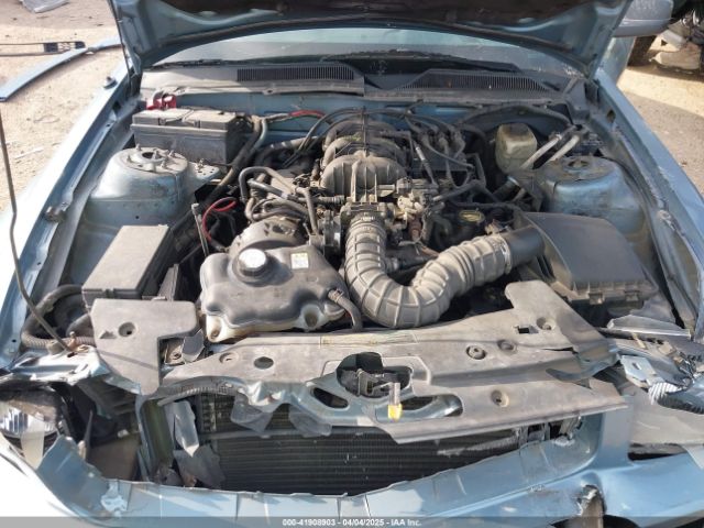 2005 FORD MUSTANG 1ZVFT80N955117689 Photo 9