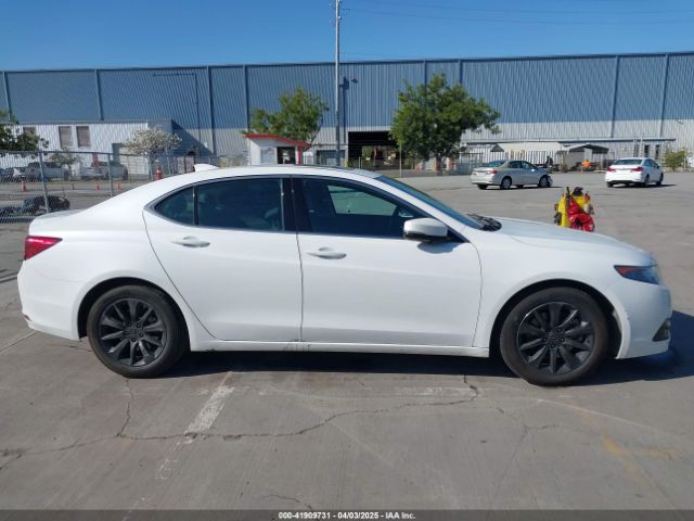 19UUB1F34FA019769 Acura TLX