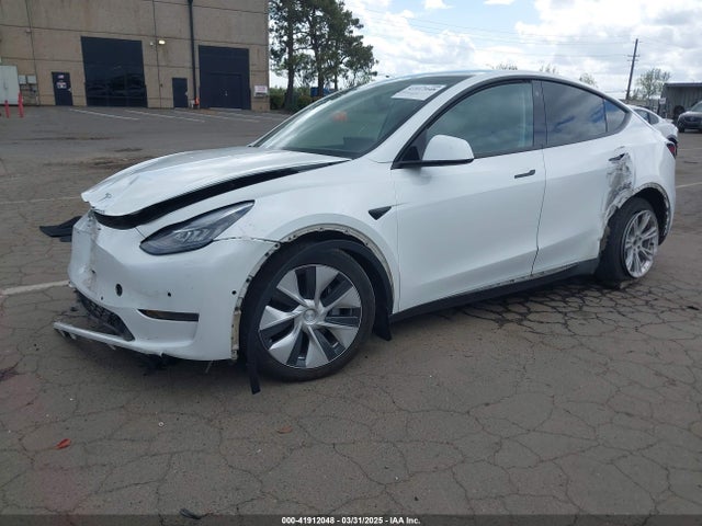 2021 TESLA MODEL Y 5YJYGDEE3MF214952 Photo 1
