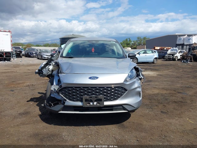 1FMCU0G62NUC01924 Ford dragon di tc
