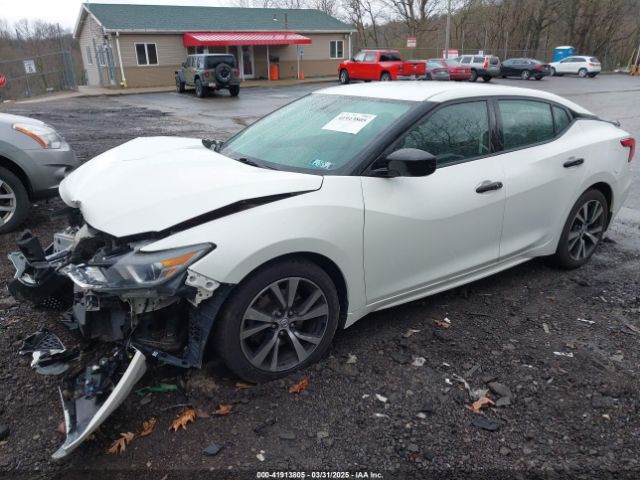 1N4AA6AP2HC449731 Nissan Maxima 3.5 S