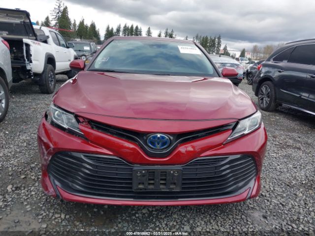 4T1B31HK4KU516638 Toyota Camry Hybrid Le