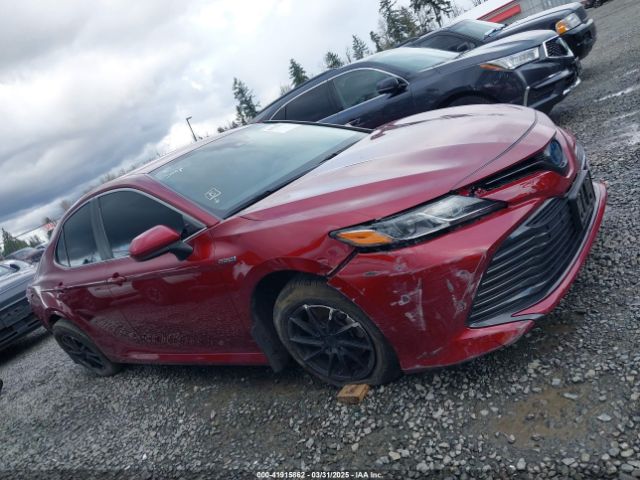 4T1B31HK4KU516638 Toyota Camry Hybrid Le