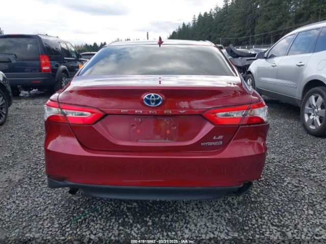4T1B31HK4KU516638 Toyota Camry Hybrid Le