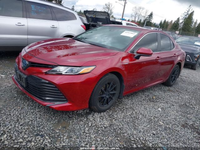 4T1B31HK4KU516638 Toyota Camry Hybrid Le