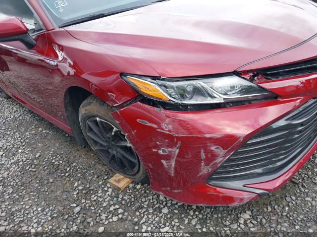 4T1B31HK4KU516638 Toyota Camry Hybrid Le
