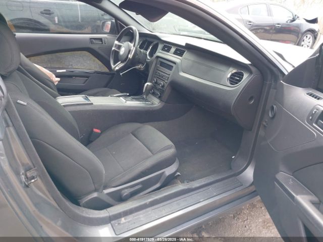 1ZVBP8AM1E5277123 Ford Mustang V6