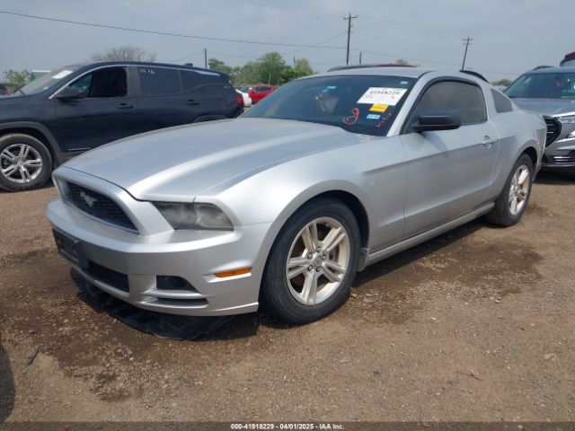 1ZVBP8AM0E5215177 Ford Mustang V6