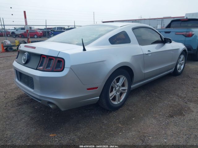 1ZVBP8AM0E5215177 Ford Mustang V6