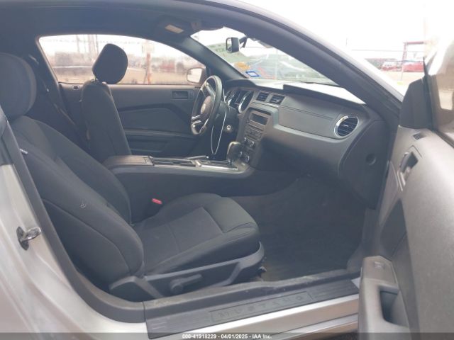 1ZVBP8AM0E5215177 Ford Mustang V6