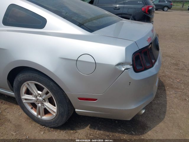 1ZVBP8AM0E5215177 Ford Mustang V6
